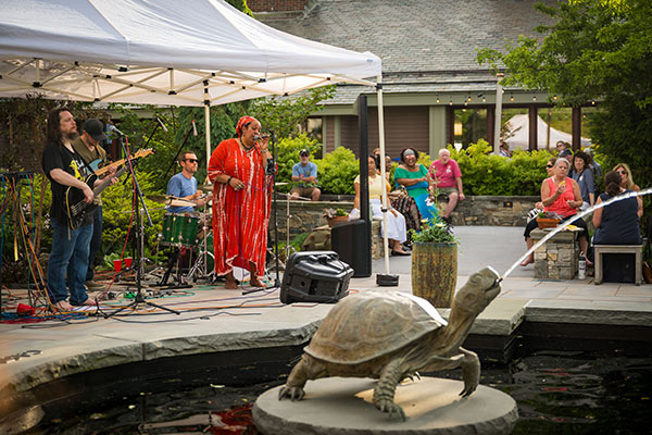 A band performing at New England Botanic Garden's Winter Garden
