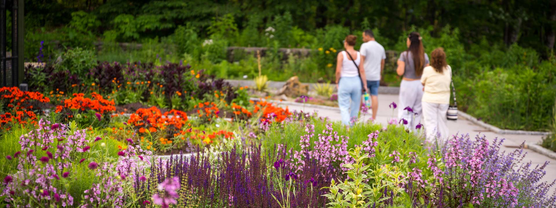 People walking among summer blooms in the evening