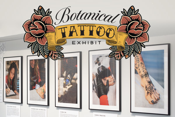 The Milton gallery displaying the Botanical Tattoo exhibit, including framed images of the tattoo process