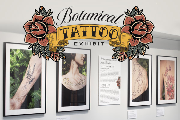 The Milton gallery displaying the Botanical Tattoo exhibit, including framed images of botanical tattoos