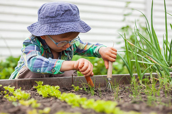A kid planting in the vegetable bed