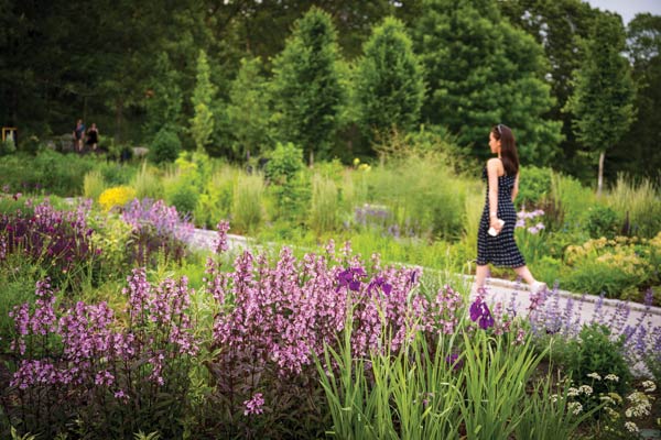 Lilacs bloomed in the summer in the Garden of Inspiration, with a woman in the distance walking along the path