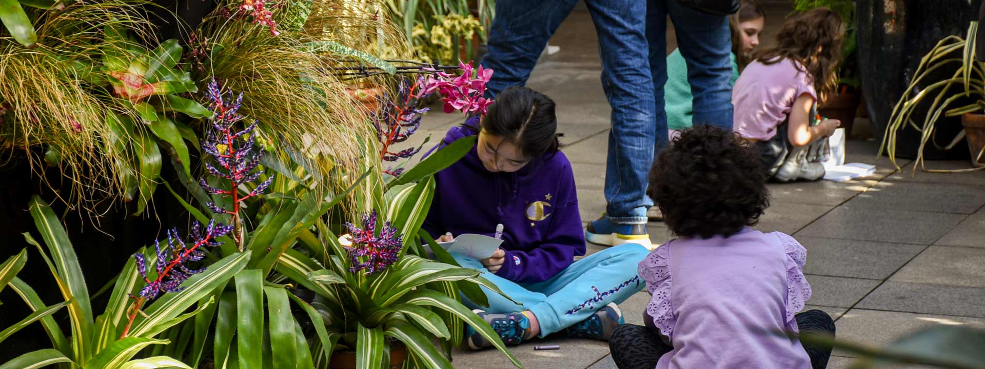 Kids drawing on their drop-in activity sheet in the conservatory filled with orchids