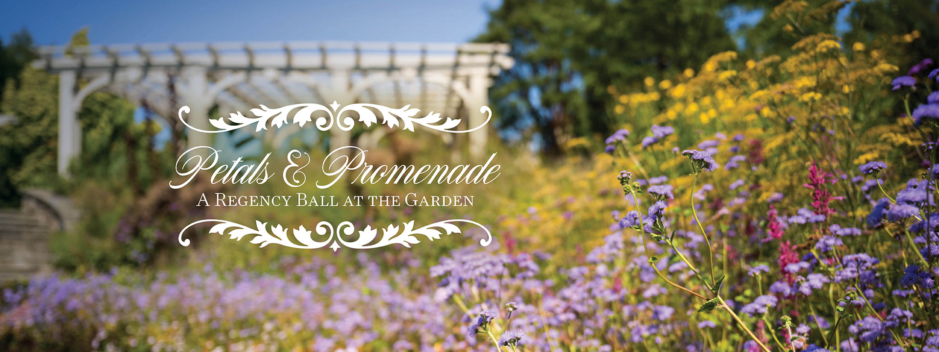 The Secret Garden featuring purple flowesr and a pergola in the background on a clear sky