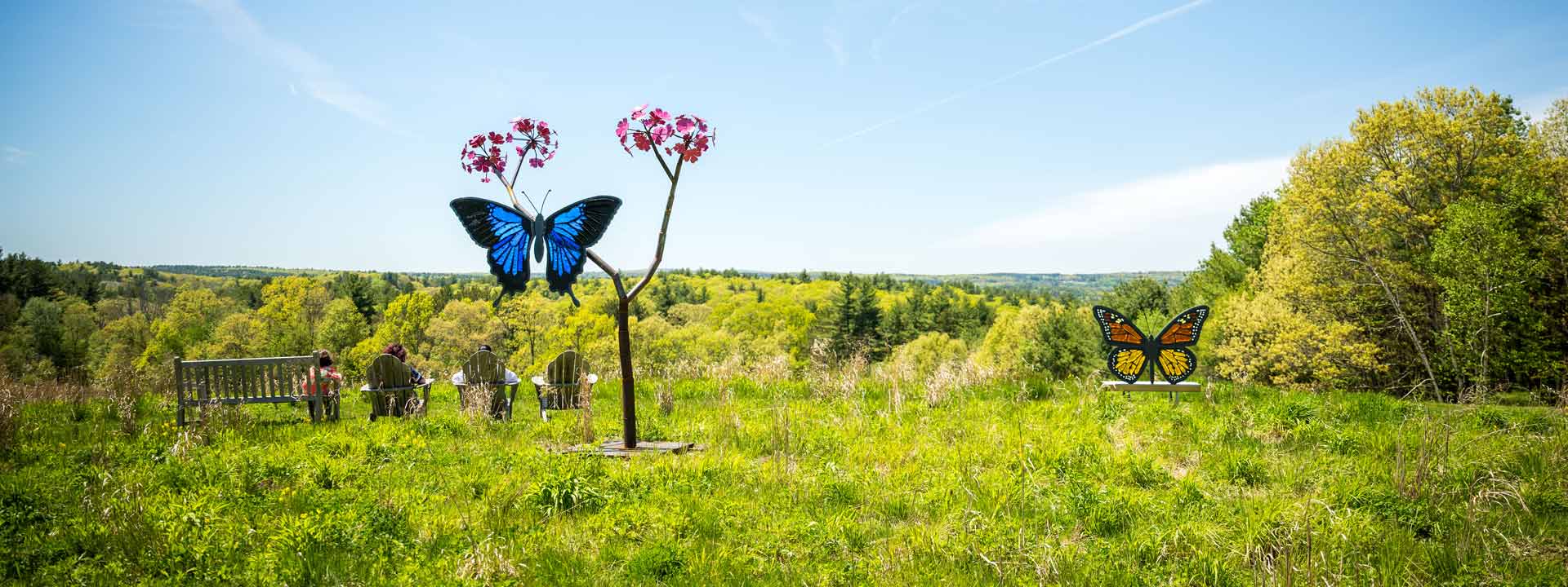 Two large butterfly sculpture made of glass and steel