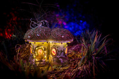 A fairy house lit up at night