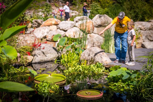 A father and son take a look at the the pond in the Ramble