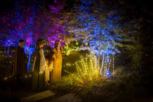 Fairies observing fairy lights