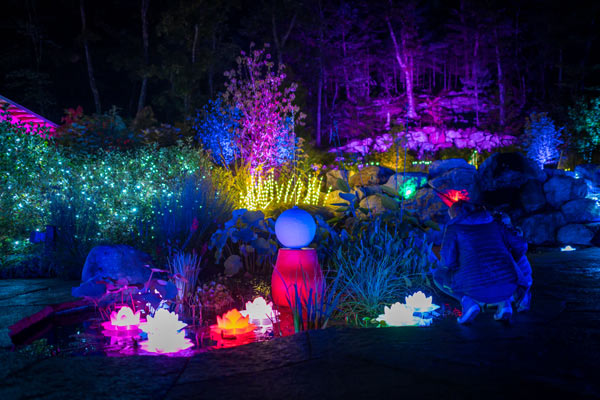 The Ramble pond during Fairies Aglow