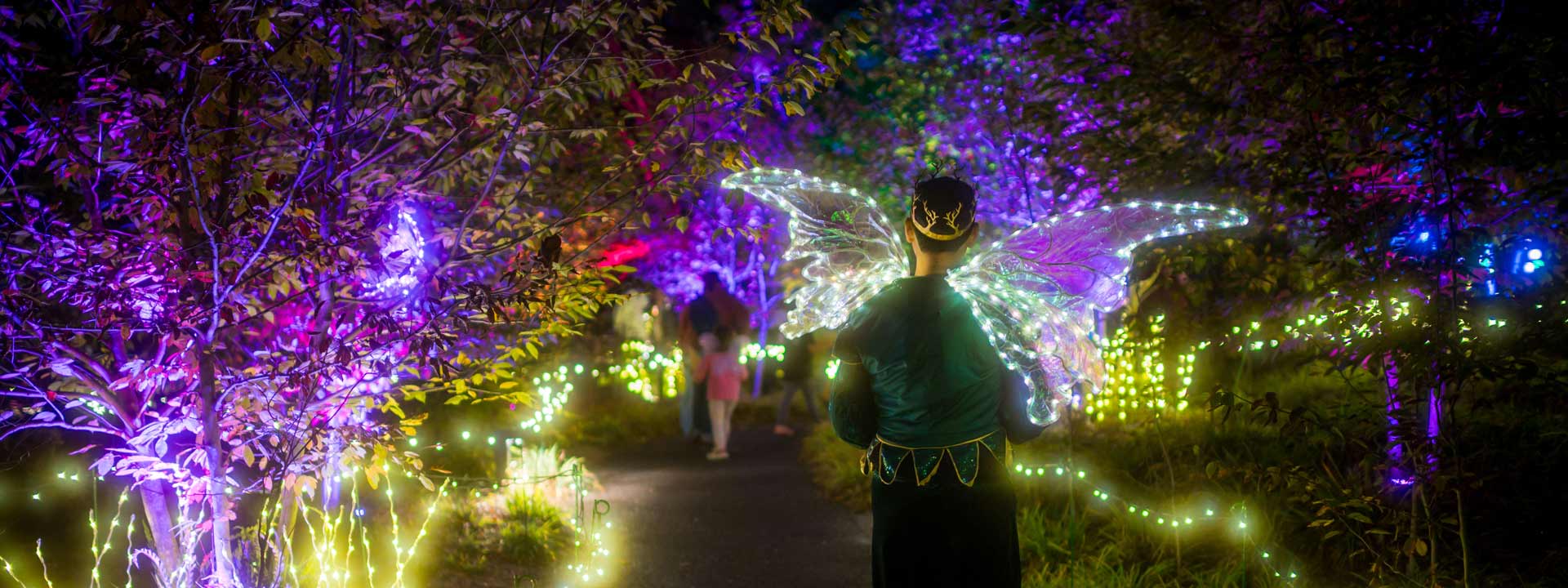 fairy prince strolling along the Garden at night with lit up trees and fairy lights