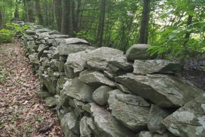 Stonewalls at New England Botanic Garden, used as boundary walls that kept livestock from wandering