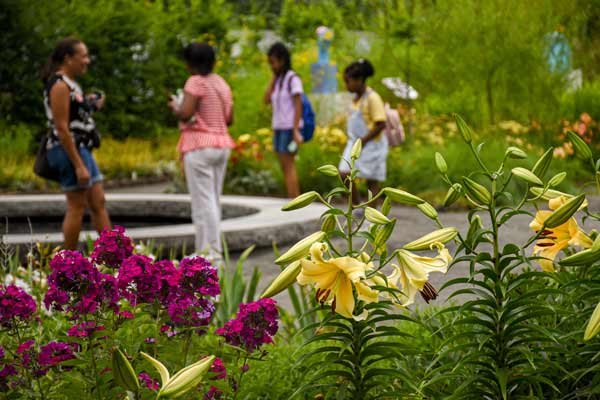 Yellow lilies and purple flowers in focus as visitors wander through the garden in the background