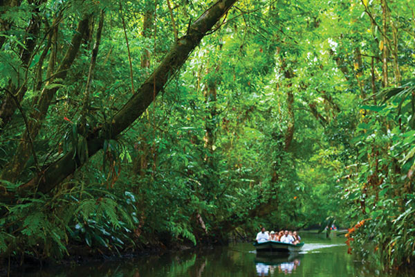 Costa Rica rainforest