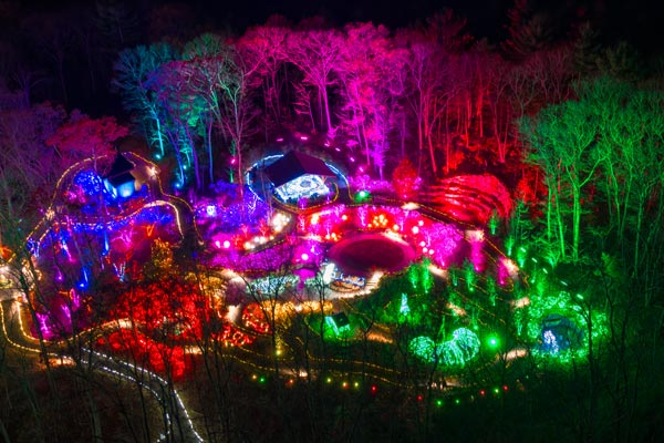 Drone image of the Garden during Night Lights