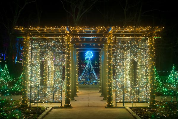 The Nadeau garden during Night Lights