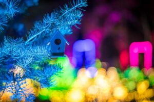 Bird house at Night Lights