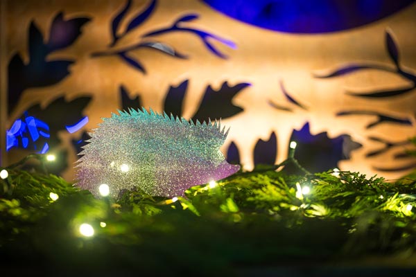 lit up hedgehog
