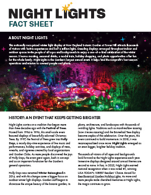 Night Lights Press Kit Preview pdf
