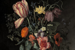 Tulip in a vase illustration