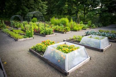 inthenews_climategarden_otc