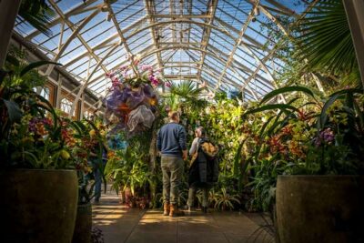 inthenews_orchid_exhibit Visitors enjoying the orchid exhibit in the conservatory