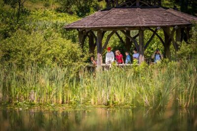 inthenews_wildlife_pond-kids Kids in the gazebo overlooking the wildlife pond