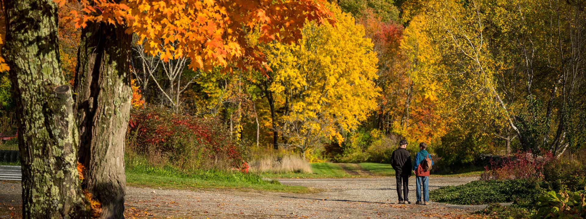 Fall foliage and visitors admiring the changing leaves
