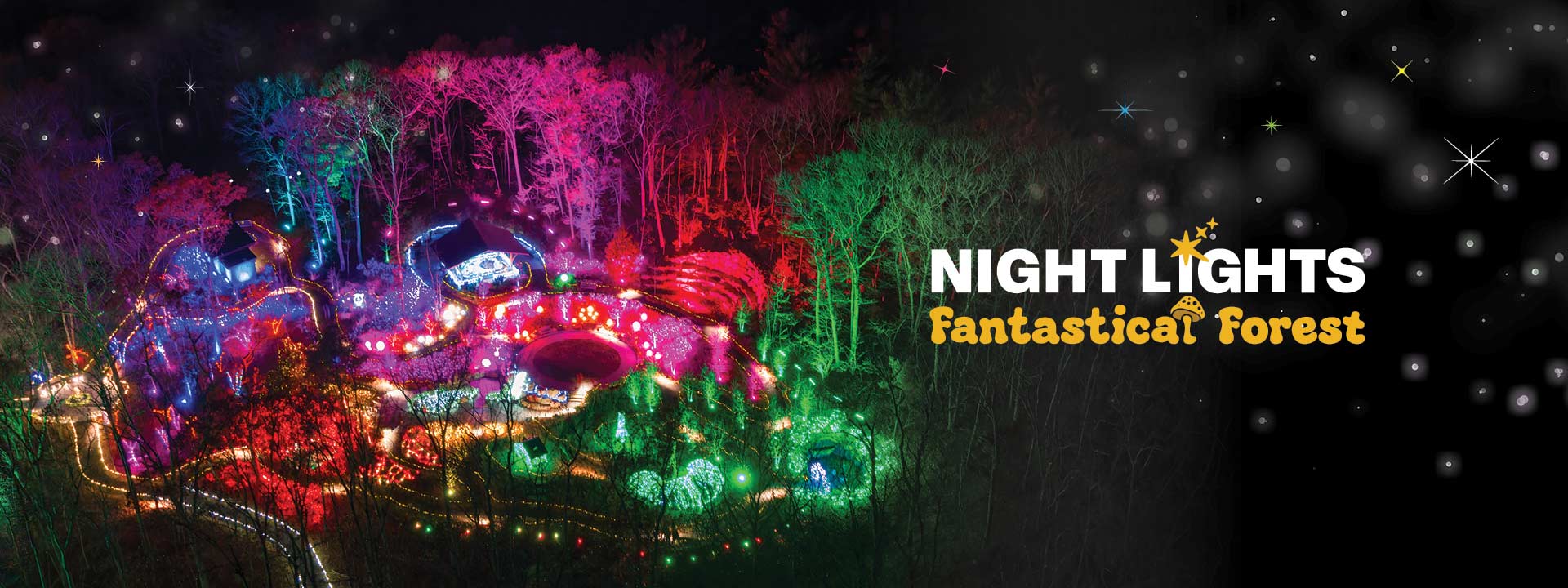 Night Lights drone image of the Ramble