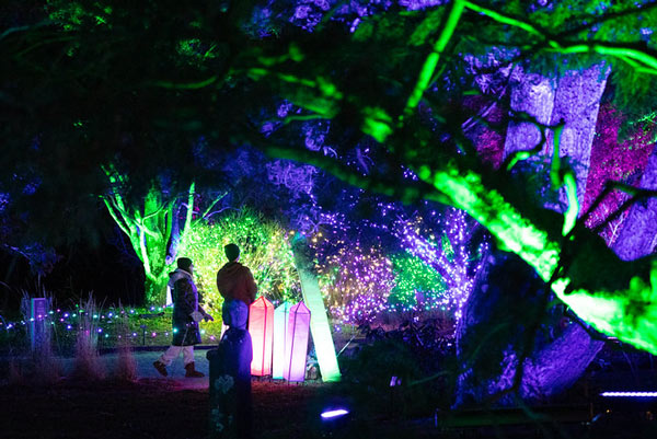 sensoryfriendly_nili_opt Sensory Friendly Evening at Night Lights