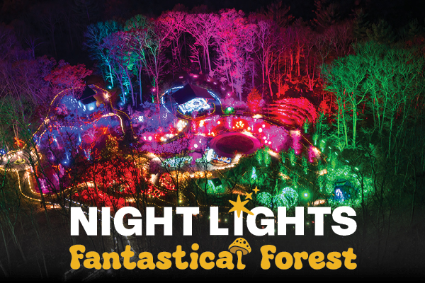 nili_fantasticalforest_image