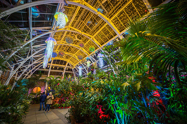 The Orangerie conservatory with lights decor and lush plants